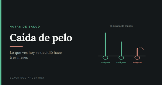 Caída de pelo: las tres fases del ciclo del pelo, anágena, catágena y telógena