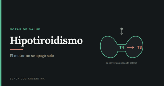 Hipotiroidismo: la tiroides y la conversión de T4 en T3, que necesita selenio