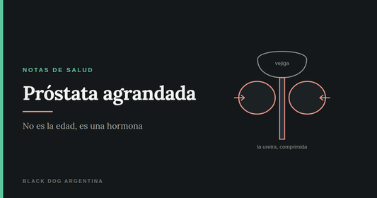 Próstata agrandada: los lóbulos prostáticos comprimiendo la uretra