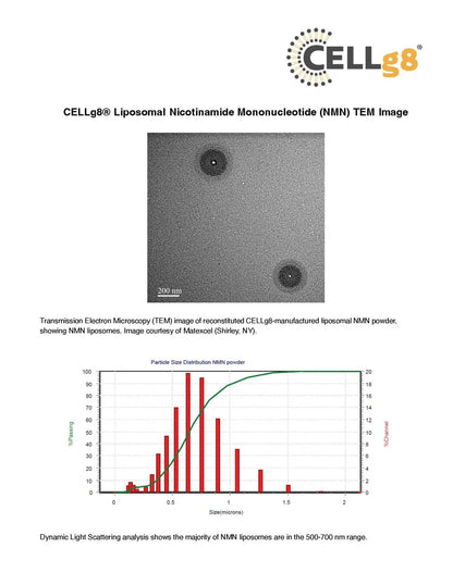 RENUE BY SCIENCE - NMN Liposomal (90 Cápsulas / 45 Servicios)