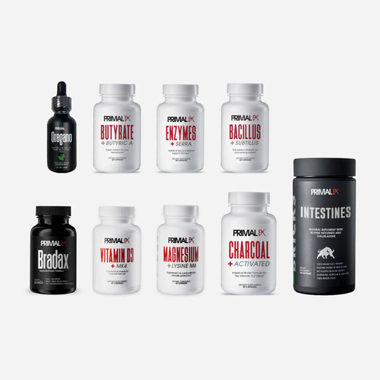 Protocolo SIBO Primal FX