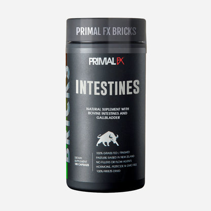 PRIMAL FX - INTESTINES