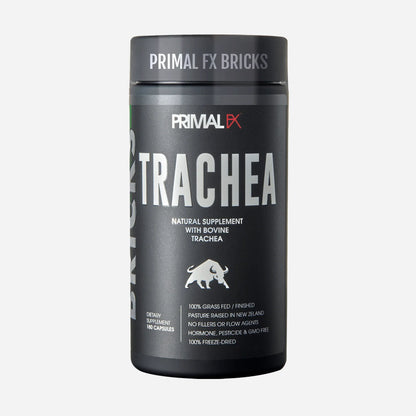 Protocolo HERNIA LUMBAR Primal FX