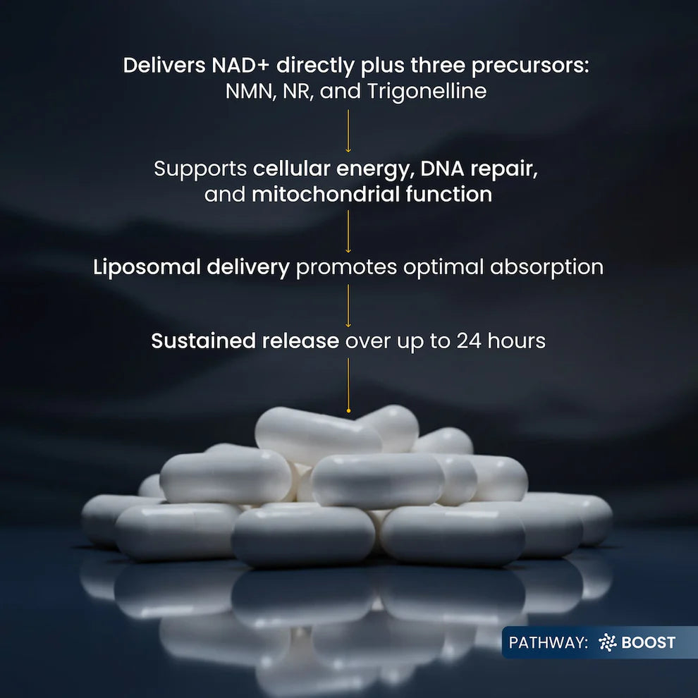 RENUE BY SCIENCE - NAD+ COMPLETE (120 Cápsulas / 60 Servicios)