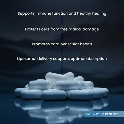 RENUE BY SCIENCE - Vitamina C Liposomal (120 Cápsulas / 60 Servicios)